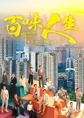 雾港迷城 悬疑电视剧全集在线看